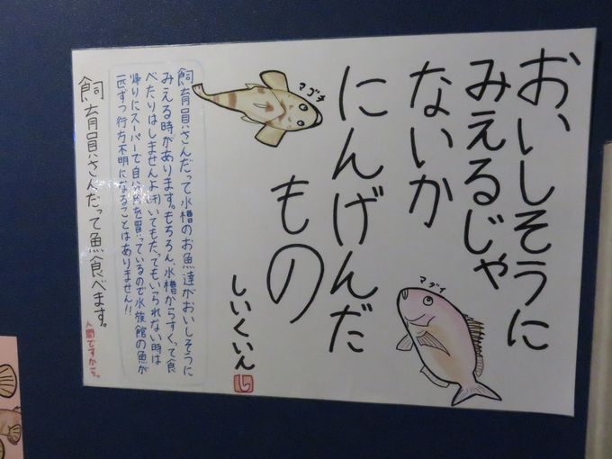 【水族館おススメ】グソクムシをお菓子にするという発想自体が既におかしい。竹島水族館。1